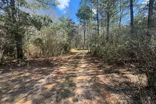 1285 Hwy 179a, Westville, FL 32464 - Photo 1