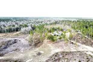 15089 NE Granny Annie Rd, Hosford, FL 32334 - Photo 21