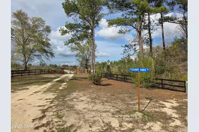 15089 NE Granny Annie Road, Hosford, FL 32334 - Photo 23