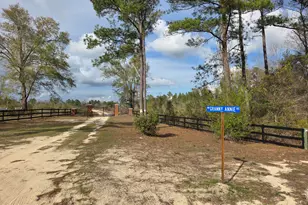 15089 NE Granny Annie Rd, Hosford, FL 32334 - Photo 23