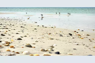 2276 Indian Pass Road, Port Saint Joe, FL 32456 - Photo 13