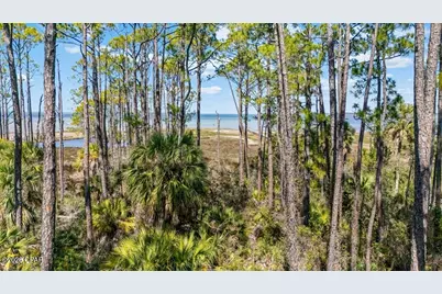 961 Cape San Blas Road, Cape San Blas, FL 32456 - Photo 63