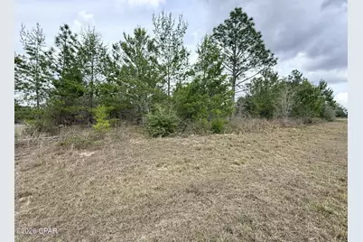 Xxx Noah Court, Chipley, FL 32428 - Photo 5