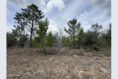 Xxx Fairbanks Drive, Chipley, FL 32428 - Photo 5