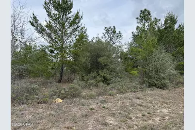 Xxx Fairbanks Drive, Chipley, FL 32428 - Photo 3