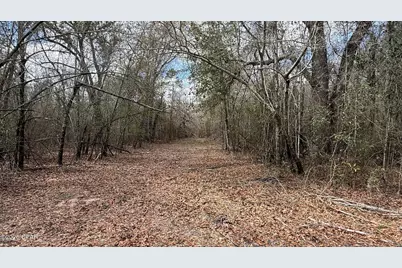 000 Neel Road, Grand Ridge, FL 32442 - Photo 3