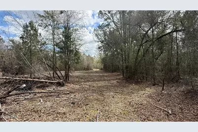 000 Neel Road, Grand Ridge, FL 32442 - Photo 5