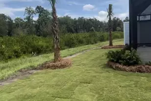 9056 Parrot Pl, Panama City Beach, FL 32413 - Photo 5