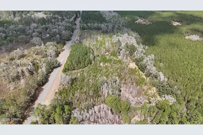 00 Hwy 179, Bonifay, FL 32425 - Photo 3