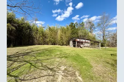 5352 Rocky Creek Road, Marianna, FL 32448 - Photo 35