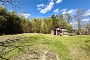 5352 Rocky Creek Rd, Marianna, FL 32448 - Photo 35