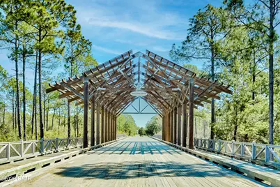 917 Sandgrass Boulevard, Santa Rosa Beach, FL 32459 - Photo 61