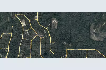 Lot 7 Trenton Avenue, Alford, FL 32420 - Photo 3