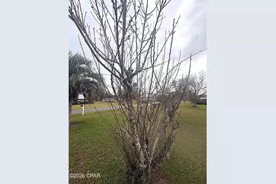 4642 River Drive, Marianna, FL 32446 - Photo 43