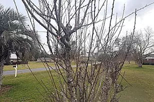 4642 River Dr, Marianna, FL 32446 - Photo 43