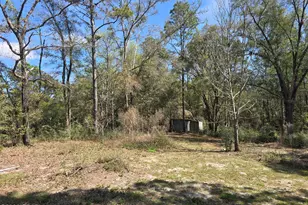 61 Summer Ln, Crawfordville, FL 32327 - Photo 35