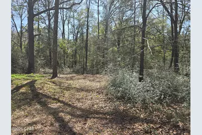 61 Summer Lane, Crawfordville, FL 32327 - Photo 33