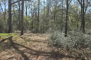 61 Summer Ln, Crawfordville, FL 32327 - Photo 33