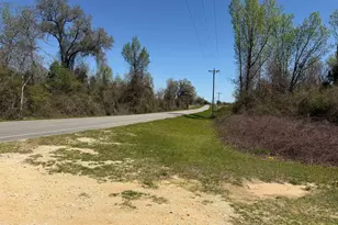 6435 Butler Rd, Grand Ridge, FL 32442 - Photo 39