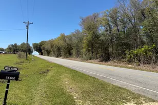 6435 Butler Rd, Grand Ridge, FL 32442 - Photo 41