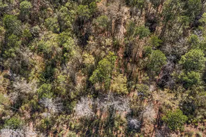 Xxx Pine Bluff Drive, Chipley, FL 32428 - Photo 23