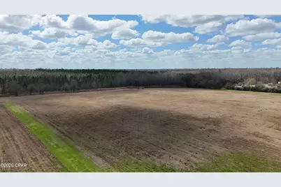 6775 U.S. Hwy 90, Grand Ridge, FL 32442 - Photo 49