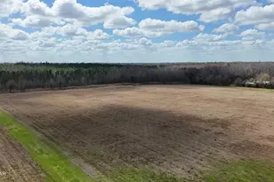 6775 U S Hwy 90, Grand Ridge, FL 32442 - Photo 49