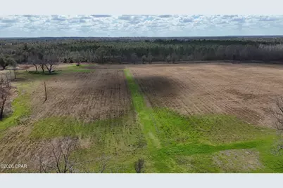 6775 U.S. Hwy 90, Grand Ridge, FL 32442 - Photo 49
