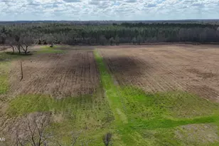 6775 U S Hwy 90, Grand Ridge, FL 32442 - Photo 49