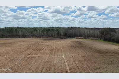 6775 U.S. Hwy 90, Grand Ridge, FL 32442 - Photo 59
