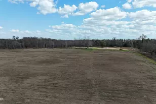 6775 U S Hwy 90, Grand Ridge, FL 32442 - Photo 65