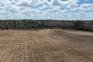 6775 U S Hwy 90, Grand Ridge, FL 32442 - Photo 59