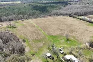 6775 U S Hwy 90, Grand Ridge, FL 32442 - Photo 5