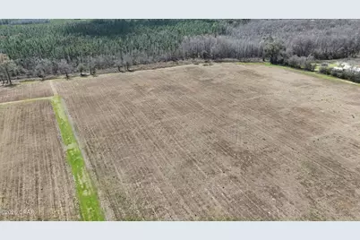 6775 U.S. Hwy 90, Grand Ridge, FL 32442 - Photo 3