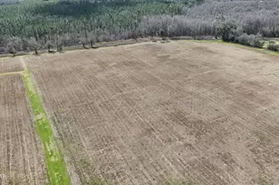 6775 U S Hwy 90, Grand Ridge, FL 32442 - Photo 3