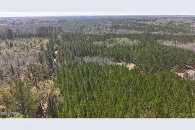 Tract6416 N Brock Road #N40, Caryville, FL 32427 - Photo 3