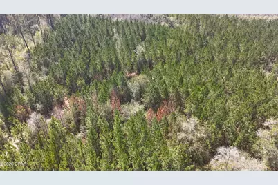 Tract6416 N Brock Road #N40, Caryville, FL 32427 - Photo 5