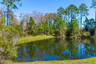 308 Madison Circle, Panama City Beach, FL 32407 - Photo 27