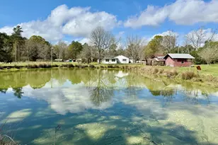 4906 Galloway Rd, Graceville, FL 32440 - Photo 5