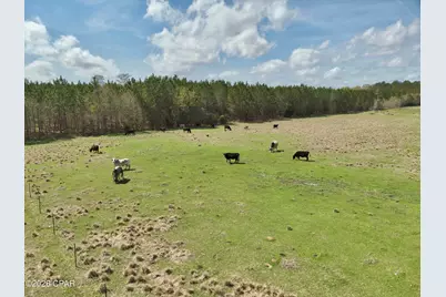 4906 Galloway Road, Graceville, FL 32440 - Photo 35