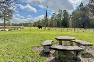 4906 Galloway Rd, Graceville, FL 32440 - Photo 45