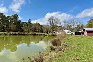 4906 Galloway Rd, Graceville, FL 32440 - Photo 63