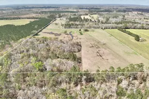 4906 Galloway Rd, Graceville, FL 32440 - Photo 33