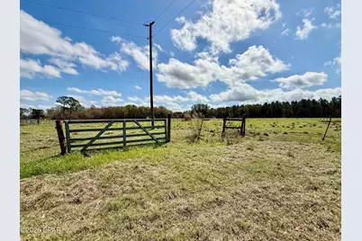 4906 Galloway Road, Graceville, FL 32440 - Photo 29