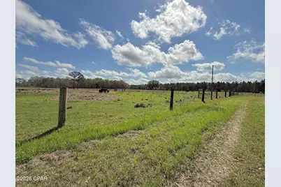 4906 Galloway Road, Graceville, FL 32440 - Photo 75