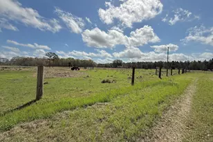 4906 Galloway Rd, Graceville, FL 32440 - Photo 75