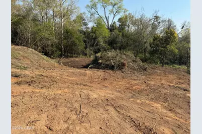 4403 Jackson Street, Marianna, FL 32448 - Photo 7