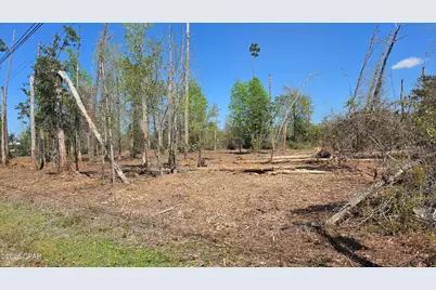 0000 Hwy 389, Lynn Haven, FL 32444 - Photo 3