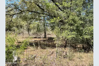 0 Speights Way, Bascom, FL 32423 - Photo 1