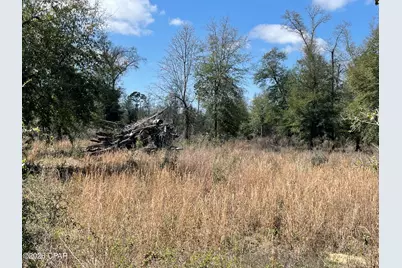 0 Speights Way, Bascom, FL 32423 - Photo 5